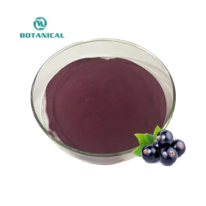 Supply Instant Black Currant Concentrate Powder Blackcurrant Drink Powder Extract