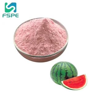 Supply Watermelon Extract Watermelon Juice Powder Watermelon Concentrate Juice Powder