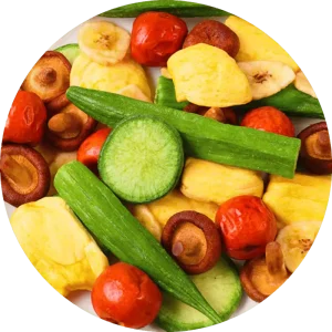 Tasty and Healthy Mixed Dried Fruit and Vegetable Chips Ideal for on the Go Snacking