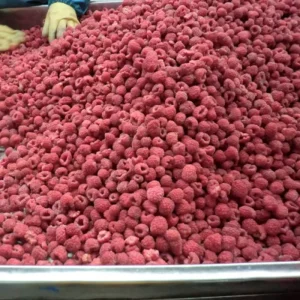 Top Quality IQF Frozen Raspberry Fruit Sweet Taste Whole Pattern Preserved with Syrup Bulk China Export Foods