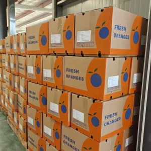 Top Quality Premium Fresh Valencia Orange Mandarin Fruit Citrus Cultivated Supplier Direct From China Exporter
