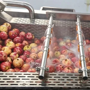 Turnkey Pomegranate Juice Line Automatic Processing Machine Multi Voltage 10T Capacity Fresh Juice Concentrate NFC Juice
