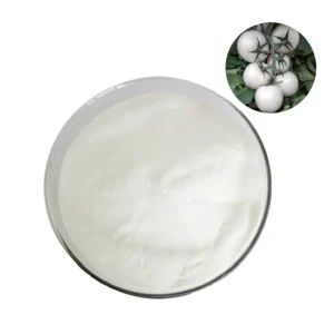Vegetable Powder Pure Tomato Powder Natural White Tomato Powder