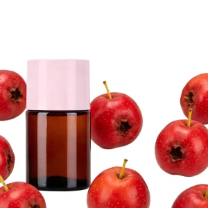 Water Soluble Haw Fruit Powder Flavor High Temperature Resistant for Haw Leather Preserved Fruit Pastry Filling Biscuit