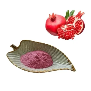 Water Soluble Pomegranate Juice Powder Pomegranate Instant Powder Drink Fruit Flavoured Pomegranate Powder for Drink