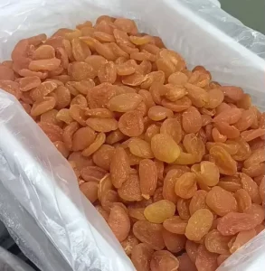 With Sugar High Quality Dried Apricots Premium Dry Dried Fruits AD Mixed Freeze Snacks Gift Packing Oem Chinese