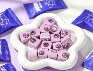 Zhongbao Freeze Dried Fruit Snacks FD Blueberry Chips Sweet FD Blueberry FD Snack Food Ready to Eat 12 Months Shelf Life Factory