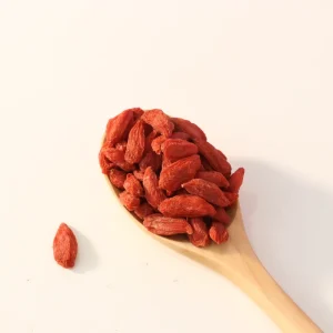 Zhongning Organic Large Size Sun Dried Goji Berry Dried Fruit Premium 220 Grain Antioxidant Rich Bulk Ready to Eat